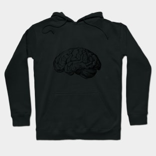 Anatomical human brain drawing Hoodie